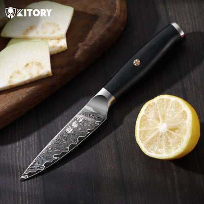 Japanese Damascus Paring Knife VG10 Damascus Steel Ultra Sharp 67 Layers Kitchen Paring Knife with Ergonomic Pakkawood Handle - Unique Gift for Men & Women (3.5 Inch Paring Knife) - KITORY Cutlery